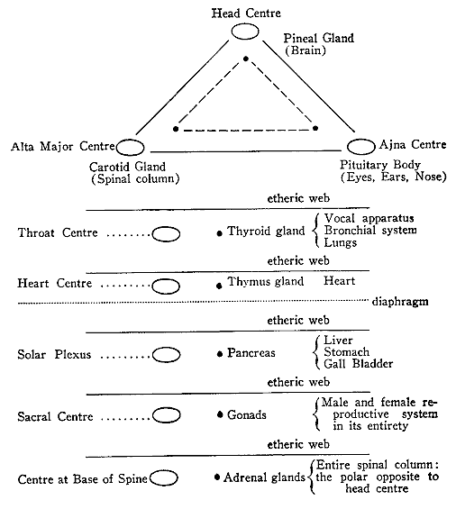 Centers and Glands